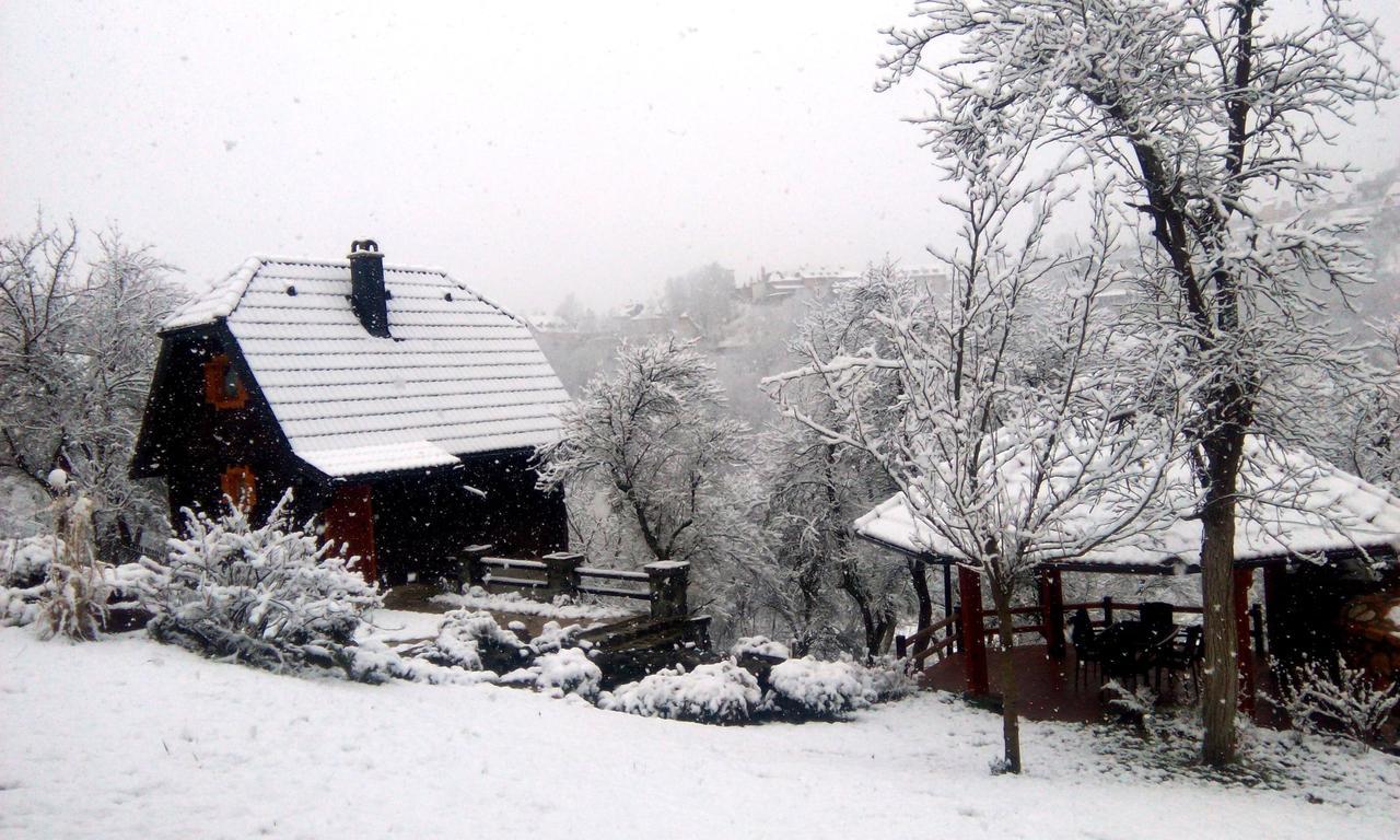 Vacation Home Nana Mokra Gora Eksteriør bilde