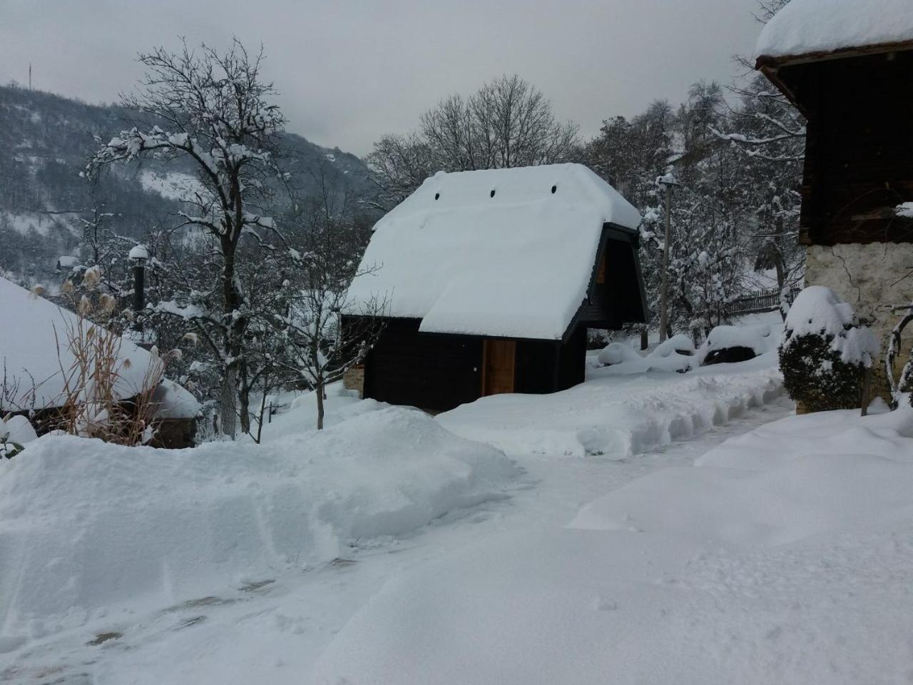 Vacation Home Nana Mokra Gora Eksteriør bilde