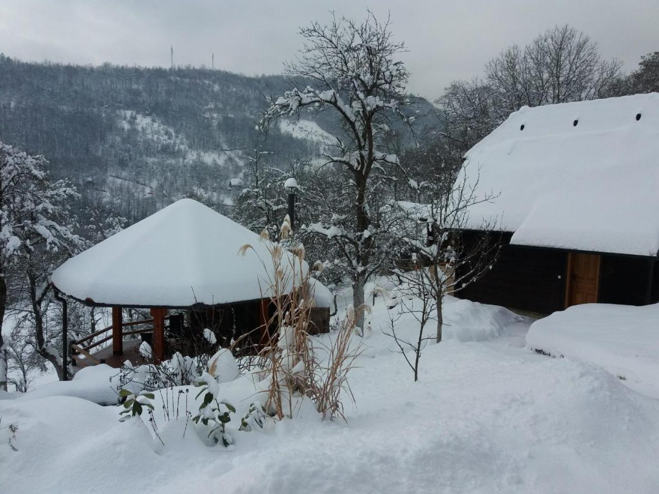 Vacation Home Nana Mokra Gora Eksteriør bilde